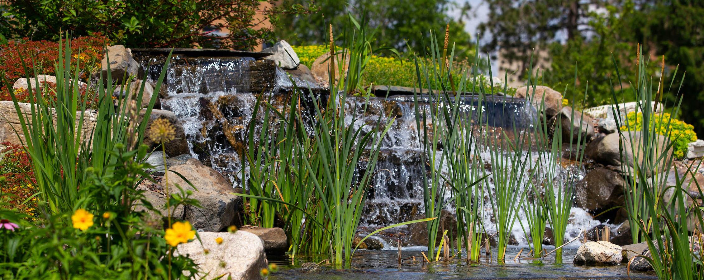 足彩平台 waterfall on campus