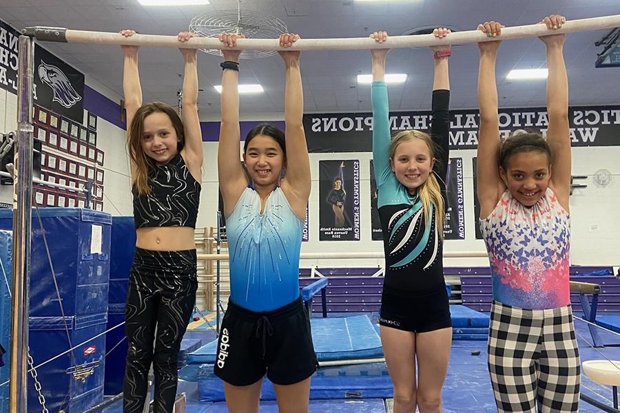 Gymnastics Camps