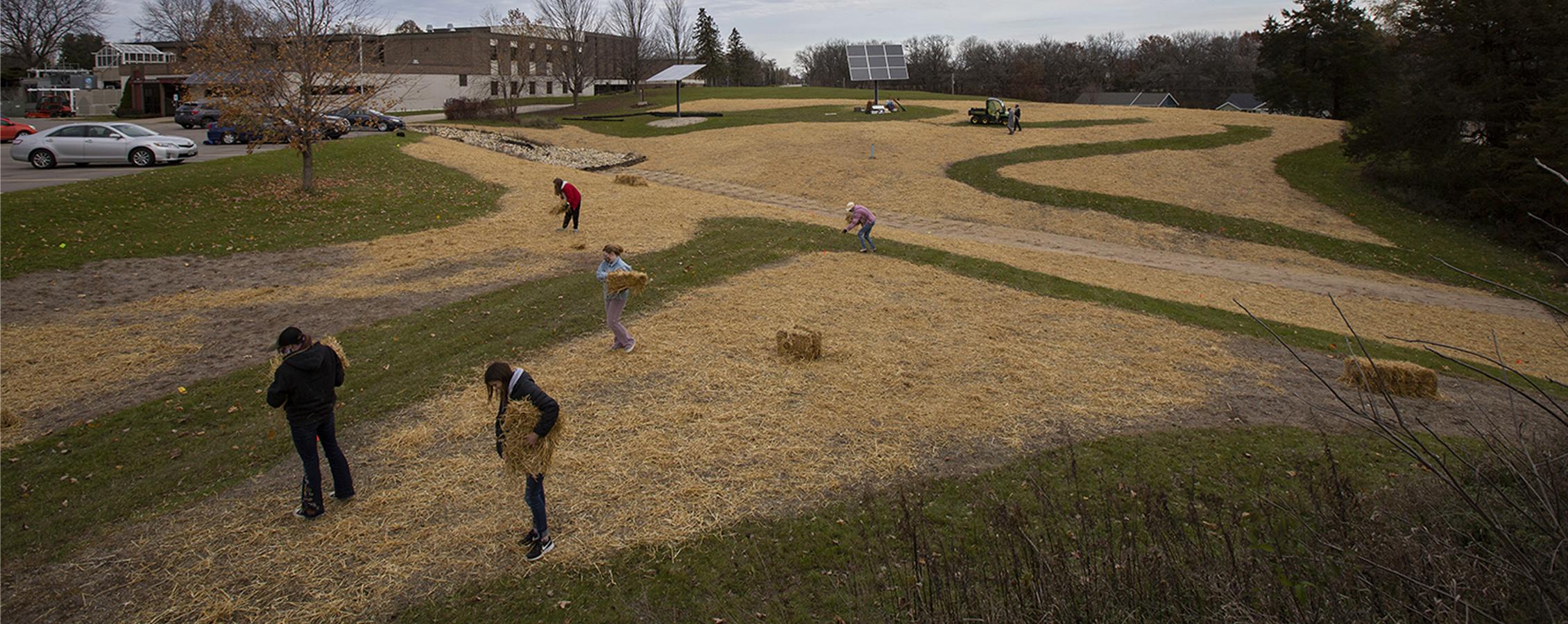 Student laying hay down in a grass field